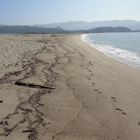 شقة Studio Pieds Dans L'Eau كالكاتوكجيو المظهر الخارجي الصورة
