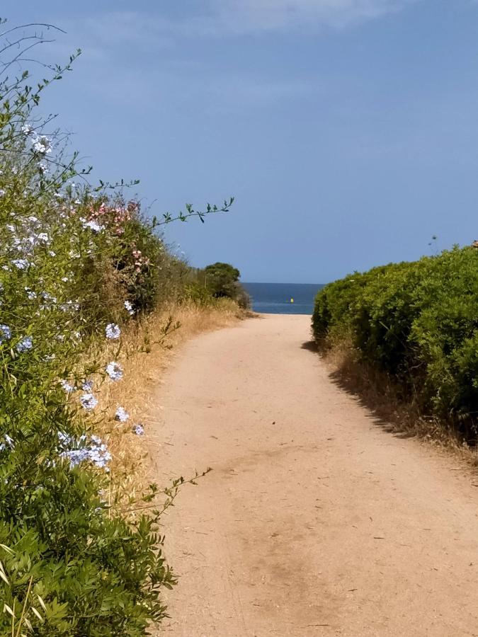 شقة Studio Pieds Dans L'Eau كالكاتوكجيو المظهر الخارجي الصورة
